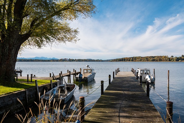 持续进步的 持续进步的