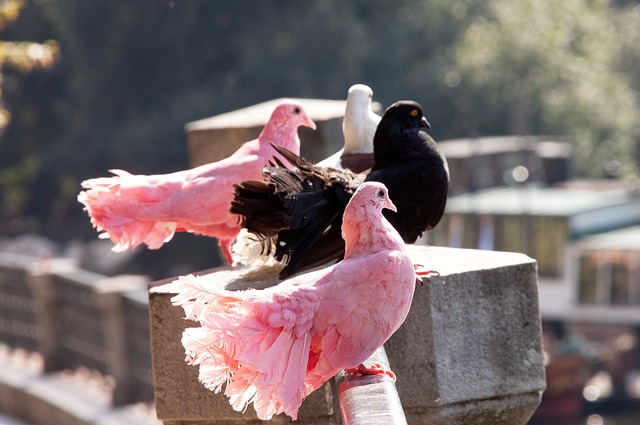 事件发生在 事件发生在